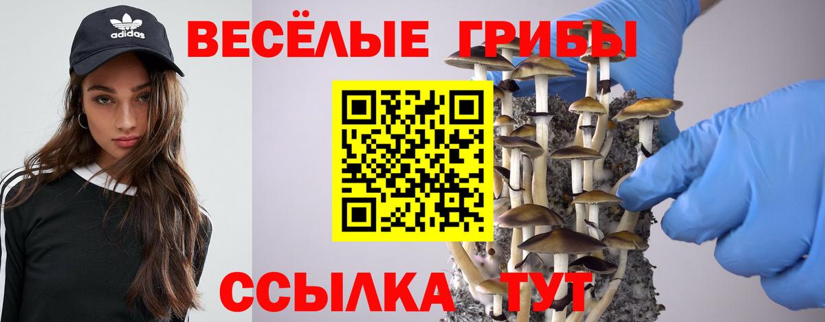 Галлюциногенные грибы Psilocybine cubensis Ливны