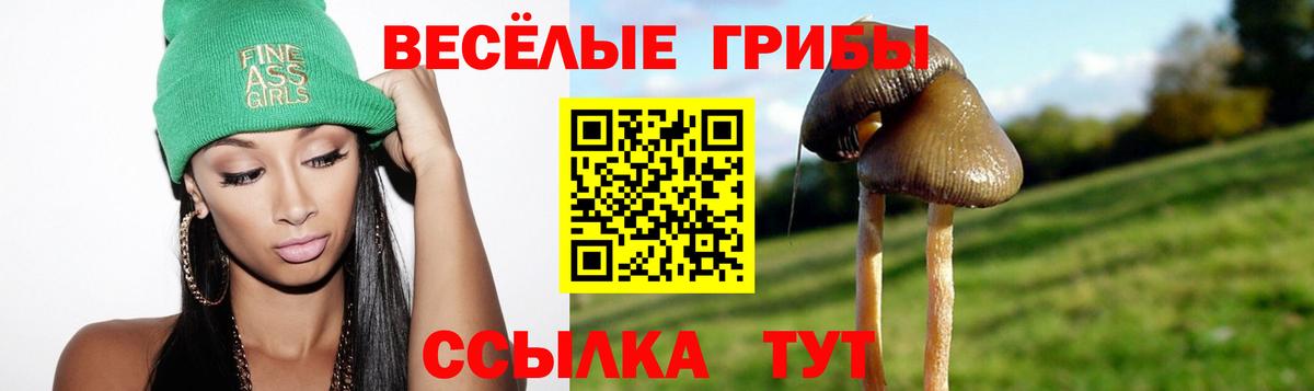 Ливны  Псилоцибиновые грибы MAGIC MUSHROOMS  Вход с VPN 